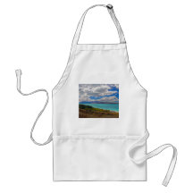 New Zealand: Lake Pukaki Aprons