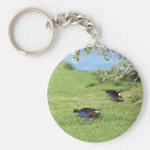 New Zealand pukeko native bird species Keychains