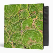 New Zealand, South Island. Succulent. 3 Ring Binder
