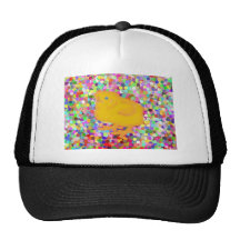 Newborn yellow chicken on colourful background hats