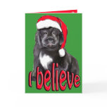 Newf puppy Christmas Cards