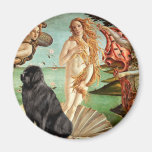 Newfie 1 - Birth of Venus Magnet