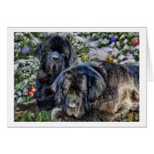 Newfie Holiday Wishes Cards