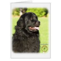 Newfoundland 9M099D-012 Cards