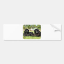 Newfoundland 9M100D-090 Bumper Sticker