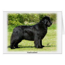 Newfoundland 9T086D-088 Card