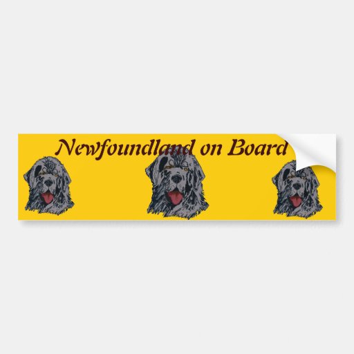 Newfoundland - Black Newfie Portrait Bumper Stickers