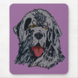Newfoundland - Black Newfie Portrait Mousepads