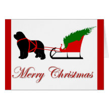 Newfoundland Christmas Card