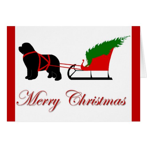 Newfoundland Christmas Card