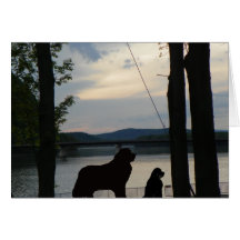 Newfoundland Dog greeting Card