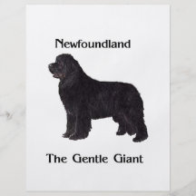 Newfoundland Dog The Gentle Giant Custom Flyer