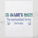Newfoundland Full Color Flyer