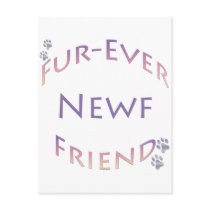 Newfoundland Fur-ever Friend Post Cards