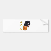 Newfoundland (landseer) Halloween Boo Bumper Stickers