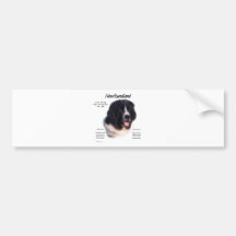 Newfoundland (landseer) History Design Bumper Sticker