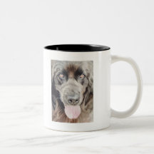 "Newfoundland" Newfie Dog Watercolor Art Mugs