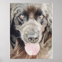 "Newfoundland" Newfie Dog Watercolor Art Print