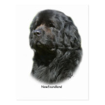 Newfoundland Postcards