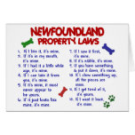 NEWFOUNDLAND Property Laws 2 Card