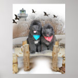 Newfoundland Puppies on beach posters