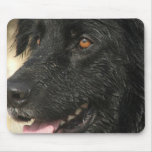 Newfoundland Puppy Mouse Pad