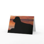 Newfoundland Sunset Sympathy Card