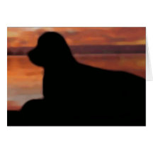 Newfoundland Sunset Sympathy Card
