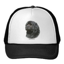 Newfoundland Trucker Hat
