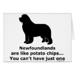 Newfoundlands are like potato chips card