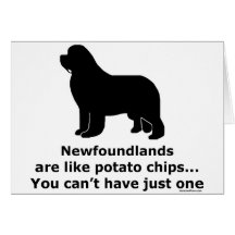 Newfoundlands are like potato chips card