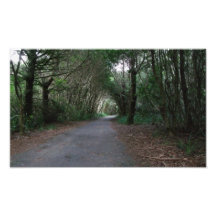 Newport Beach Access Photo Print