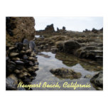 Newport Beach Muscles Post Card