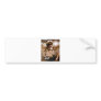 NEWS & Map Captain 5 or Sea Captain Bumper Sticker