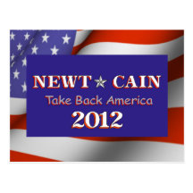 Newt Cain Take Back America postcard