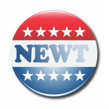 NEWT CAMPAIGN BUTTON PHOTO CUT OUTS