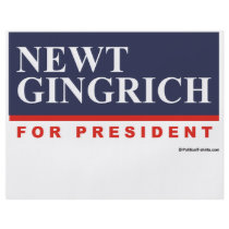 Newt Gingrich for President (2) Personalized Flyer