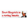 Newt Gingrich is a raving lunatic Bumper Stickers