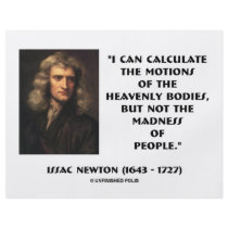 Newton Calculate Motions Madness Of People Quote Custom Flyer