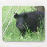 Nez sale tapis de souris