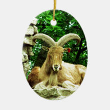 Niabi Barbary Sheep -1 Christmas Ornaments