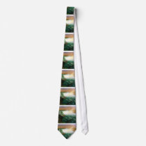 Niagara falls painting art artist Albert Bierstadt Custom Tie