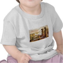Niagara Rail ( 1876 ) Tees