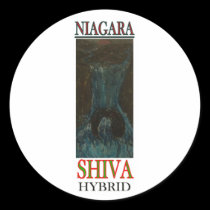 NIAGARA SHIVA HYBRID stickers