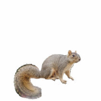 Nibbles the Fortune-Telling Squirrel Ornament