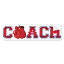 Nice Coach Boxing Insignia