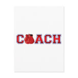 Nice Coach Boxing Insignia