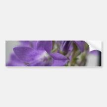 Nice Purple Flowers Bumper Sticker