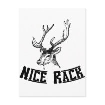 Nice Rack Deer Antlers