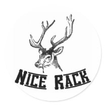 Nice Rack Deer Antlers